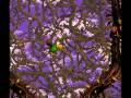 videos de Donkey Kong Country 2 - K. Rool's Keep, part 6