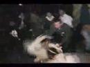 Imagen de previsualización de YouTube