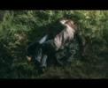 the fray - how to save a life (video nş 1) the fray - how to save a life (video nş 1)