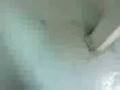 videos de mutant x la trw.mp4