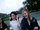 sgdsg