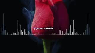 Status ucun video