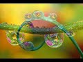 Marianne Rosenberg - Ich sah deine Trnen Marianne Rosenberg - Ich sah deine Trnen