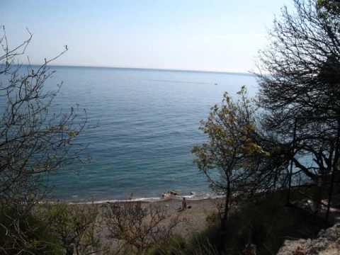 YouTube Трейлер