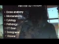 Anatomy Review Day 1