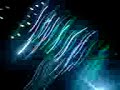 adams-gig.html