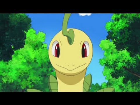 bayleef
