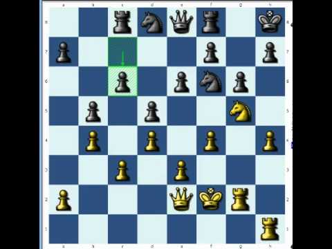 instant checkmate