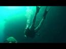 Close encounter with Turtle