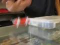 BRIAN KNOWS FINGERBOARDS