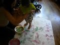 finger and foot painting