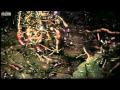 Buidling a new ant home - Ant Attack - BBC