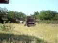 View Video