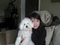 winsome and doggie