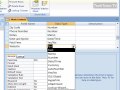 Use the Hyperlink Data Type in Access 2007