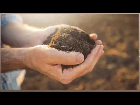 экопутешествие