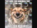 Stoner Dog - YouTube