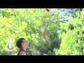 NYTimes.com - Vova Galchenko: Juggler in Action