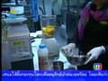 Tasty Thai Restaurants - Channel 11