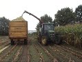 maishakselen met pz hakselaar