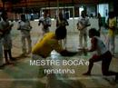 capoeira raizes da terra capoeira raizes da terra