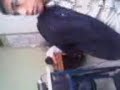 joselin-lin-lin jatazo en clase
