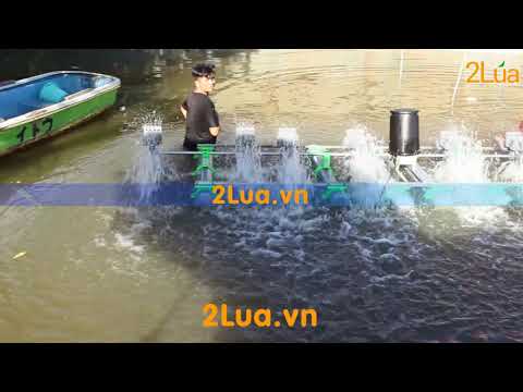 Máy quạt nước nuôi tôm 2Lúa 3N (3N-B08) - 400W