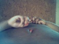 Taste My Belly Rainbow