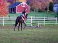 Lex Cantering U/S- 11/7/08 (2)