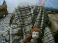 videos de Crazy Monkey Dance.......REAL