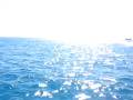 catamaran.avi