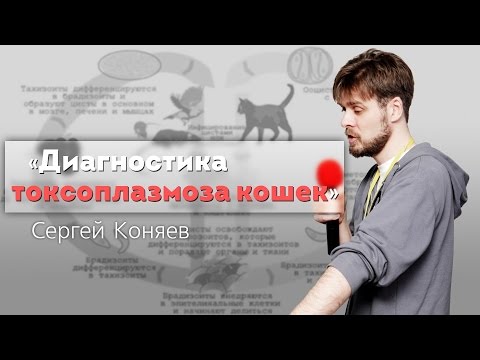 YouTube Трейлер