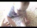 Elijah the bully Elijah the bully