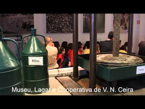 Portugal Social On The Road 2014