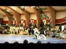 2007 North Korean TKD Demo - Self Defence (2)