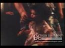 Hamann -Reingold movie 1