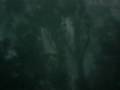 Brisbane Storm. The Perfect Storm Strikes Arana Hills. Pt #2