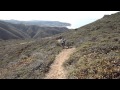 ezride0203 - 