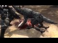 NINJA GAIDEN Σ2 紅葉 リョナ動画 その１