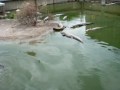 MOV00912.MPG