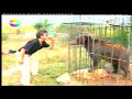 ?ile Hayvanat Bah�esi Pazar S�prizi