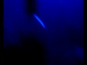 disco-boys-im-exhibition.html