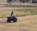 Kawasaki Brute Force 750 in action at Holland's Landing