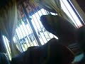 los pies y piku y tano