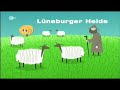 Campen der Internatsschüler des Gymnasium Loburg (ZDF) pt2
