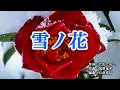 『雪ノ花』大川栄策　カラオケ　2019年11月13日発売