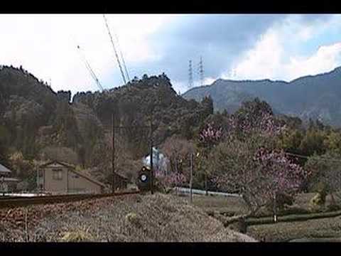 大井川鉄道　青部の桃