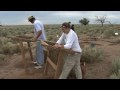 Guarda video