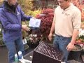Patio Fountain