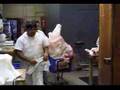A Day in the Life - Veterinarian